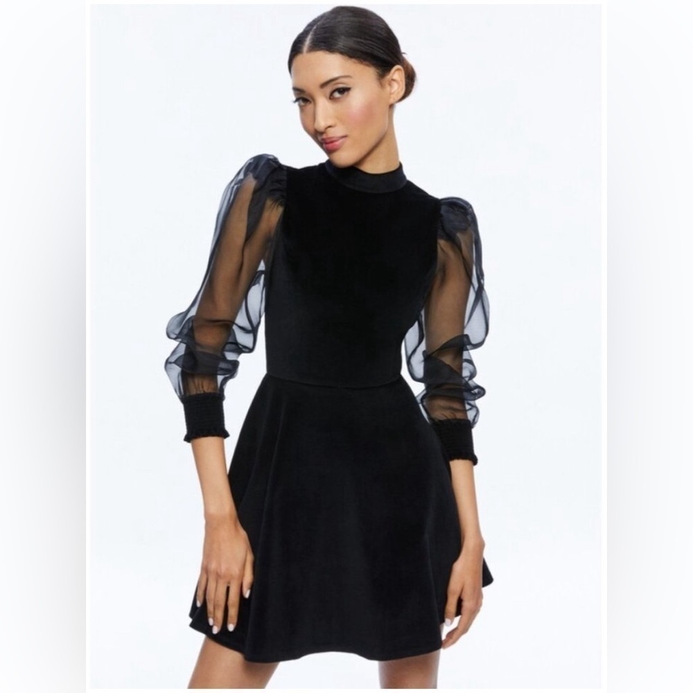 Alice and Olivia Paulette Velvet Puff Sleeve Mini Dress in Black sz 10 NWT 595$ - Picture 2 of 10
